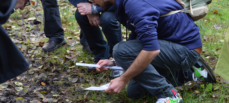 Fährtenlesen in den Glauer Bergen