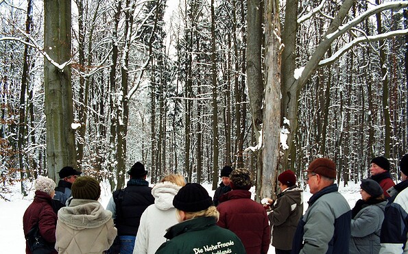 Foto: Bernd Müller Die NaturFreunde Oberbarnim-Oderland e.V., Lizenz: Bernd Müller Die NaturFreunde Oberbarnim-Oderland e.V.