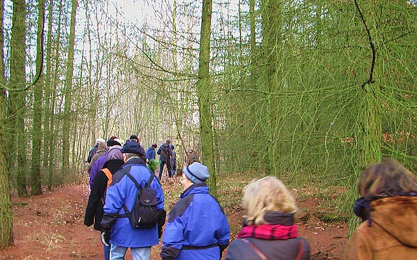 Foto: Bernd Müller Die NaturFreunde Oberbarnim-Oderland e.V., Lizenz: Bernd Müller Die NaturFreunde Oberbarnim-Oderland e.V.