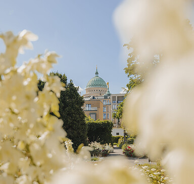 Freundschaftsinsel, Foto: Julia Nimke, Lizenz: PMSG