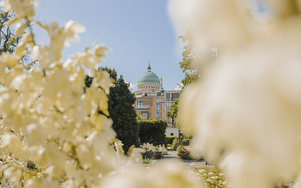 Freundschaftsinsel, Foto: Julia Nimke, Lizenz: PMSG