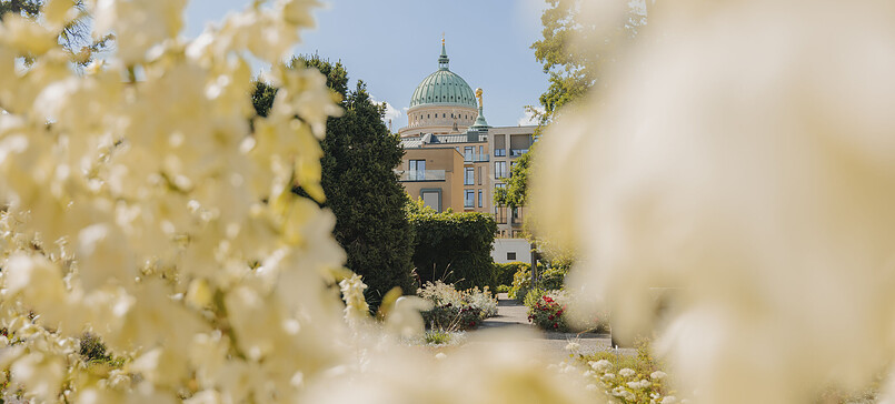 Freundschaftsinsel - Potsdams grünes Juwel zwischen Altem Markt und Havel