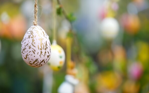 Bild von Mariya Muschard auf Pixabay, Foto: Bild von Mariya Muschard auf Pixabay, Lizenz: Bild von Mariya Muschard auf Pixabay