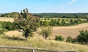 Foto: Anke Bielig, Lizenz: Gemeinde Schorfheide