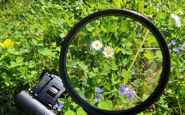 Foto: SFPM, Lizenz: SFPM