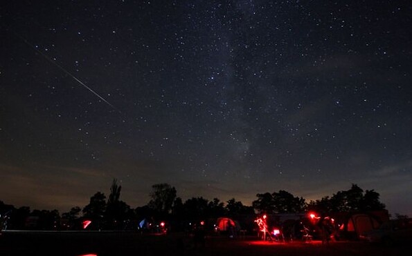 WHAT 2016, Foto: Thomas Becker