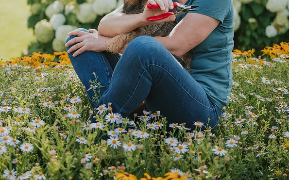 Foto: Franzi Schaedel, Lizenz: Franzi Schaedel