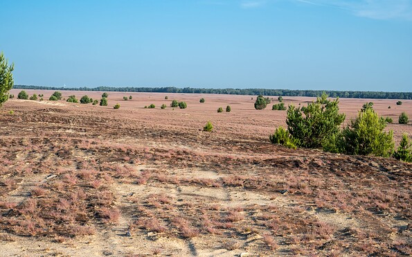 Foto: Dr. Tilo Geisel