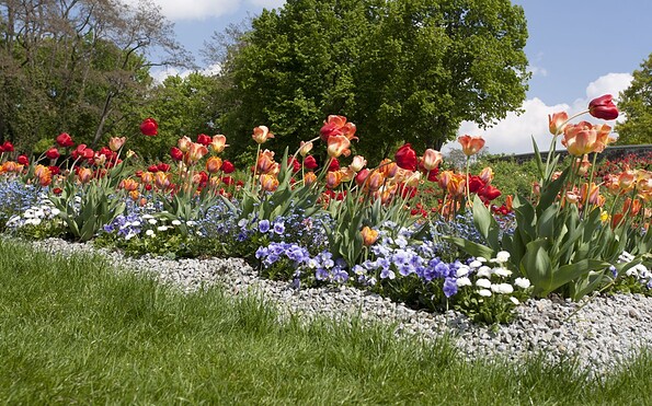 Foto: Carl Ludwig Köller, Lizenz: Carl Ludwig Köller