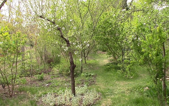 Foto: Claas Fischer, Lizenz: Claas Fischer