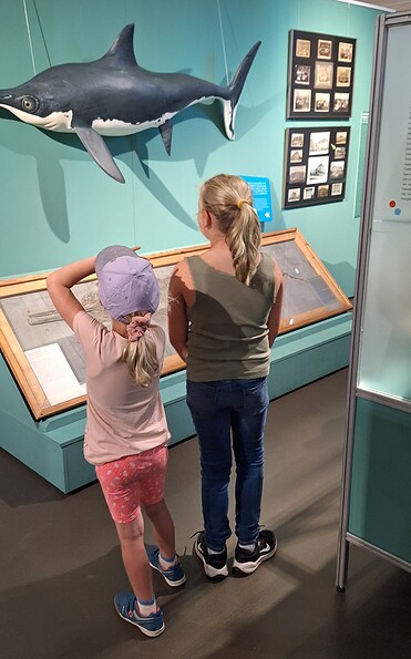 Foto: Robert Büschel, Lizenz: Robert Büschel