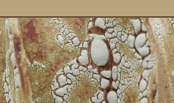 Sonderausstellung: ReMO präsentiert Keramiken von Verena Siol