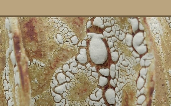 Foto: Landkreis Oberhavel, Lizenz: Landkreis Oberhavel