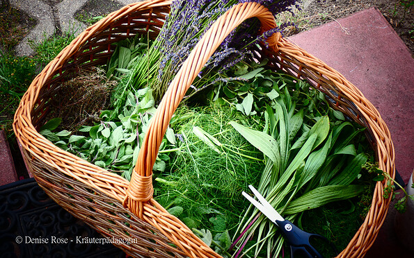 Foto: Denise Rose, Lizenz: Denise Rose