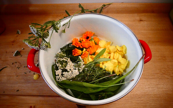 Foto: Denise Rose, Lizenz: Denise Rose