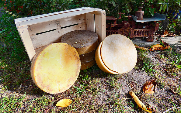 Foto: Denise Rose, Lizenz: Denise Rose