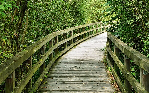 Foto: Joanna Laß, Lizenz: Stiftung Naturschutz Berlin