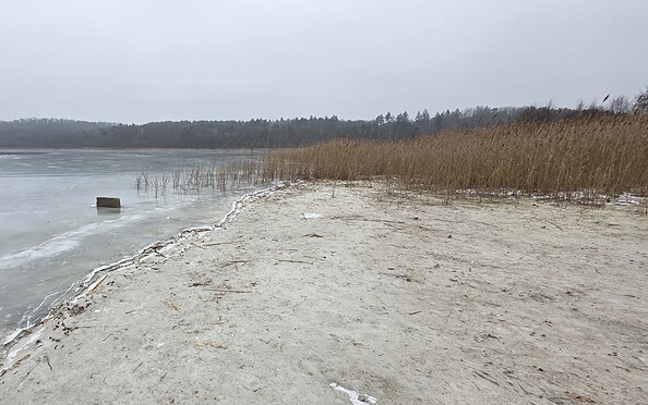 Foto: Bernd Müller Die NaturFreunde Oberbarnim-Oderland e.V.