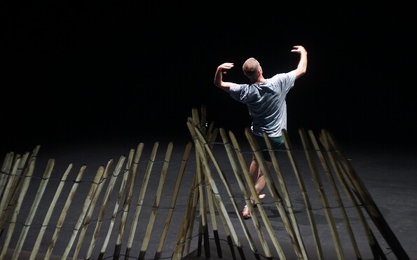 Foto: Troglodyte, Lizenz: Troglodyte – ©Bert Van Dijck