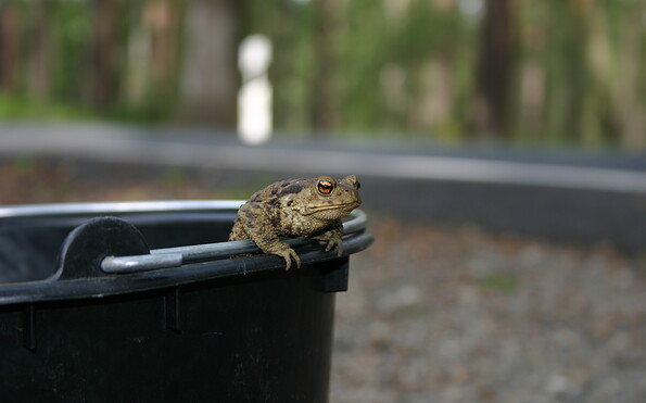 Foto: Ulrich Schröder