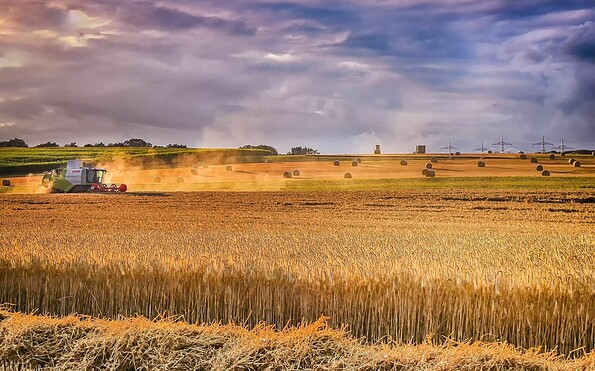 Foto: Tom, Lizenz: pixabay