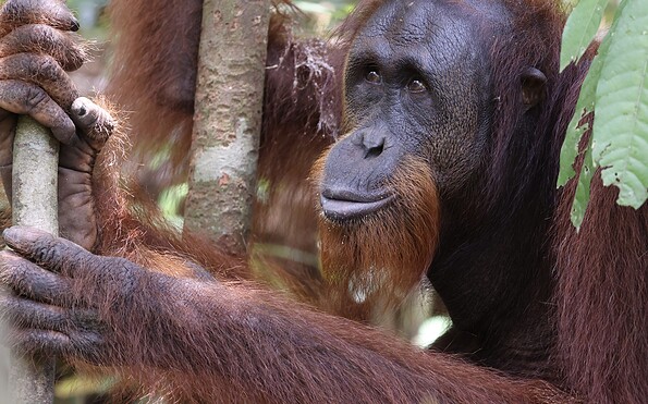 Foto: © Zorillafilm Grospitz &amp; Westphalen