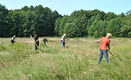 Sensenkurs, Foto: Sarah Mamerow, Lizenz: Naturpark Schlaubetal
