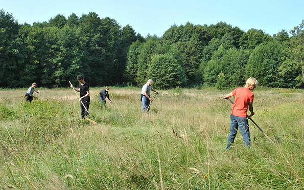Sensenkurs, Foto: Sarah Mamerow, Lizenz: Naturpark Schlaubetal