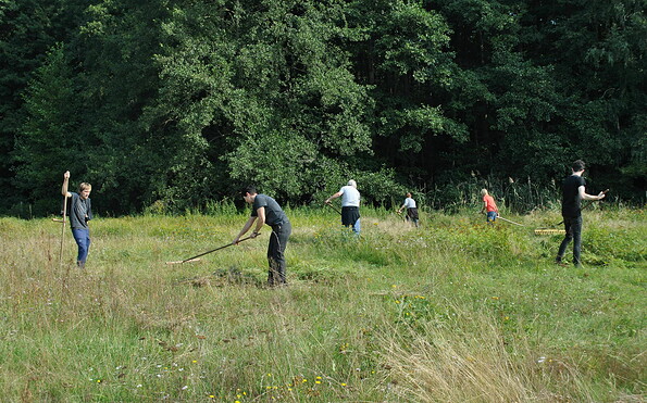 Mähen und Harken, Foto: Sarah Mamerow, Lizenz: Naturpark Schlaubetal