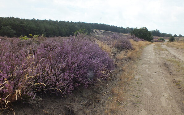 Foto: C.Zick, Lizenz: C.Zick