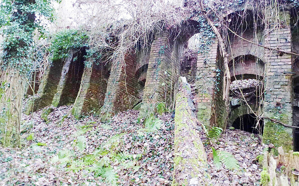 Foto: Norman Heß, Lizenz: Norman Heß