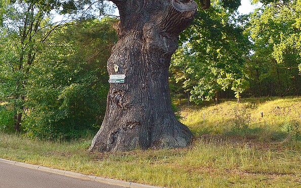 Foto: Norman Heß, Lizenz: Norman Heß