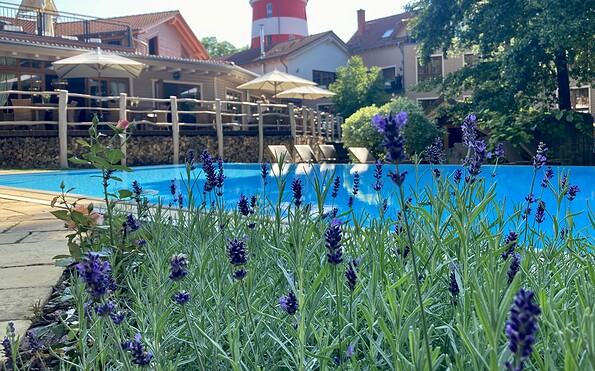 Foto: Laura Beister, Lizenz: Tourismusverein Scharmützelsee