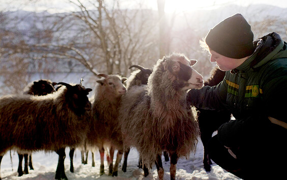 Foto: © f(x) produksjoner AS