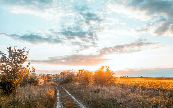 Foto: N. von Fintel, Lizenz: N. von Fintel