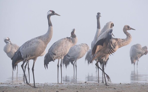 Foto: Stefan Schulz, KR Film GbR, Lizenz: Stefan Schulz, KR Film GbR