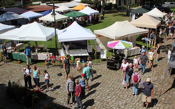 Foto: R. Wilkens, Lizenz: Naturwelt Lieberoser Heide GmbH