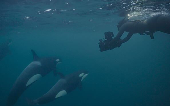 Foto: © Kjetil Astrup