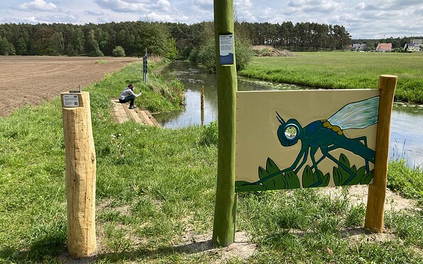 Foto: Naturpark Niederlausitz