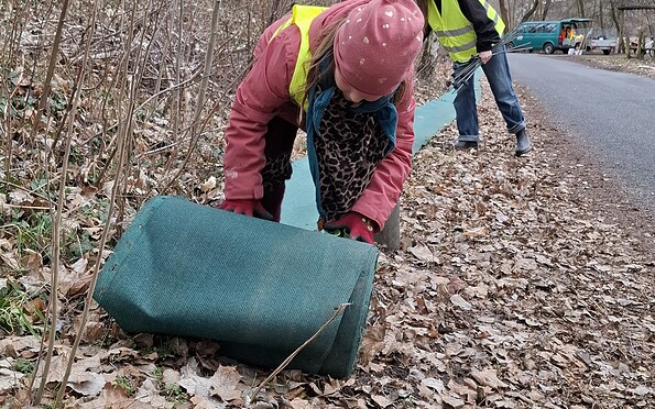 Foto: Katrin Mielsch, Lizenz: Naturwacht Hoher Fläming