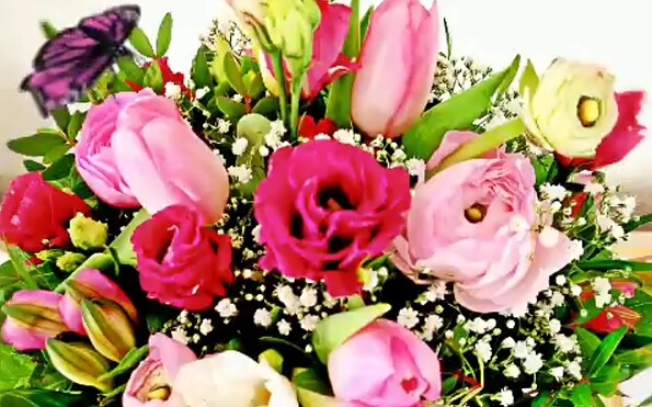 Foto: VIMAGe, Lizenz: VIMAGE