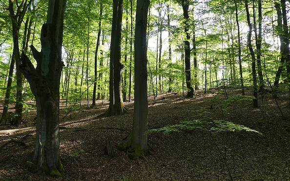 Foto: Inka Schwand, Lizenz: Inka Schwand