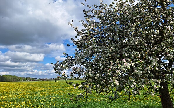 Foto: Maddalena Sartori, Lizenz: Stiftung NaturSchutzFonds Brandenburg