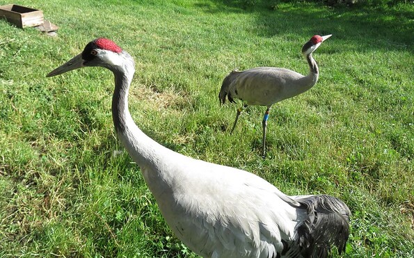 Foto: Beate Blahy, Lizenz: Beate Blahy