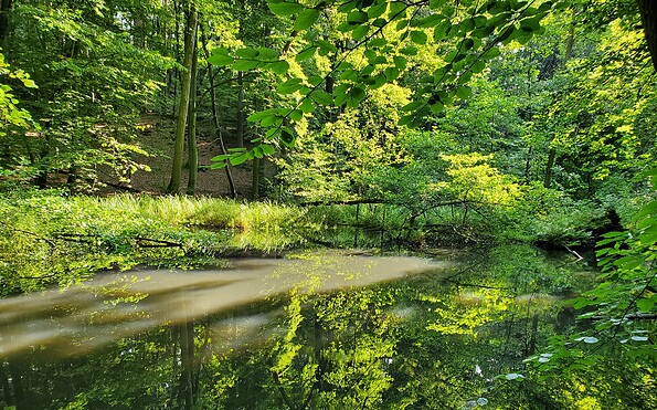Foto: Naturpark Schlaubetal, Lizenz: Naturpark Schlaubetal