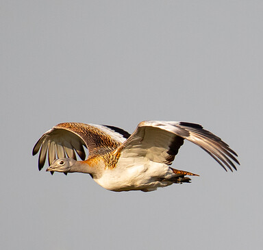 Foto: Johannes Müller