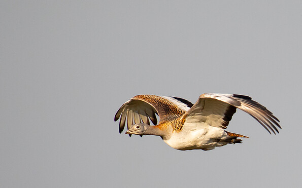 Foto: Johannes Müller