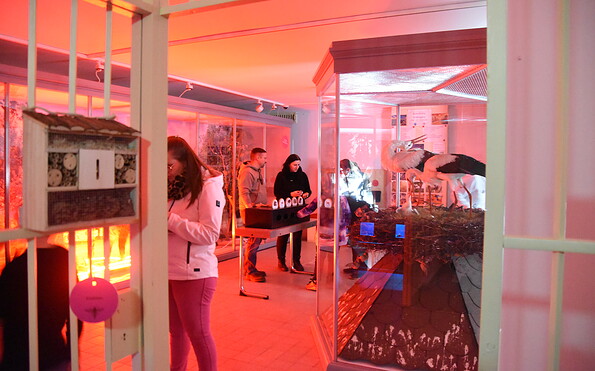 Foto: Iris Zachow, Lizenz: Iris Zachow