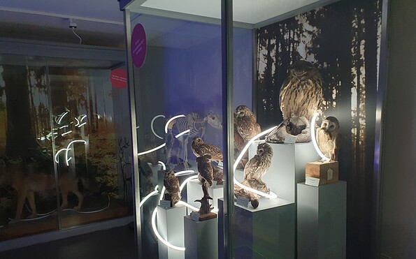 Foto: Iris Zachow, Lizenz: Iris Zachow