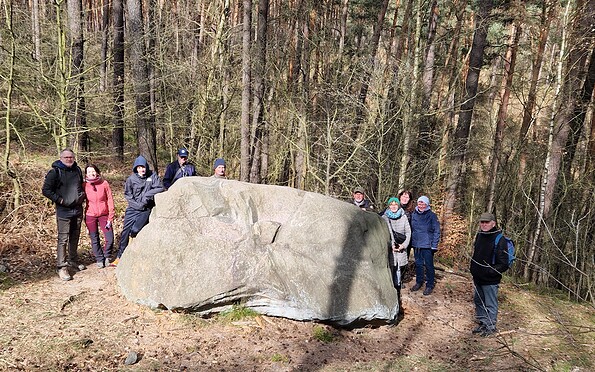 Foto: Ulf Bollack, Lizenz: Stiftung NaturSchutzFonds Brandenburg